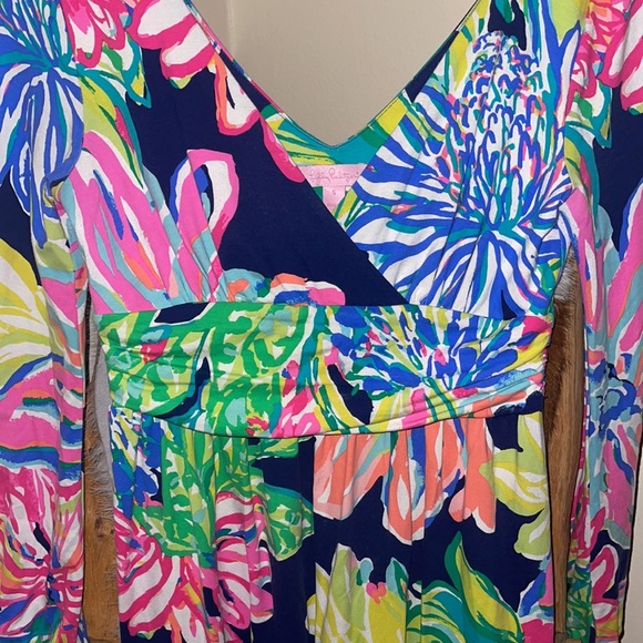 Lilly Pulitzer Dress - Picture 2 of 3